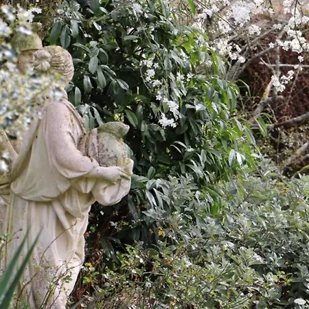 Tatil Evi Charmante Maison Avec Jardin Clos A - Fr-1-497-180 Saint-Pierre-des-Loges